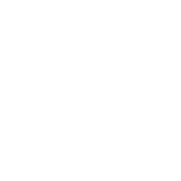 Datei:Norwegen symbol civ6 inv.png