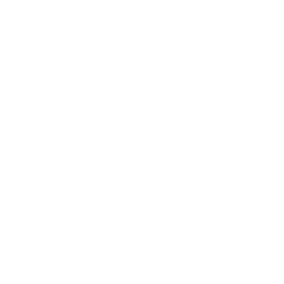 Datei:Azteken symbol civ6 inv.png