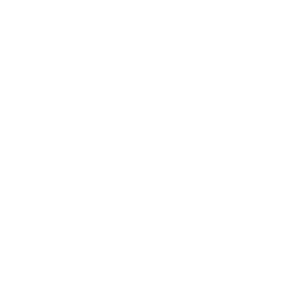Datei:Brasilien symbol civ6 inv.png