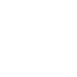 Datei:Rom symbol civ6 inv.png