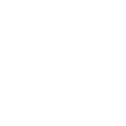Datei:Russland symbol civ6 inv.png